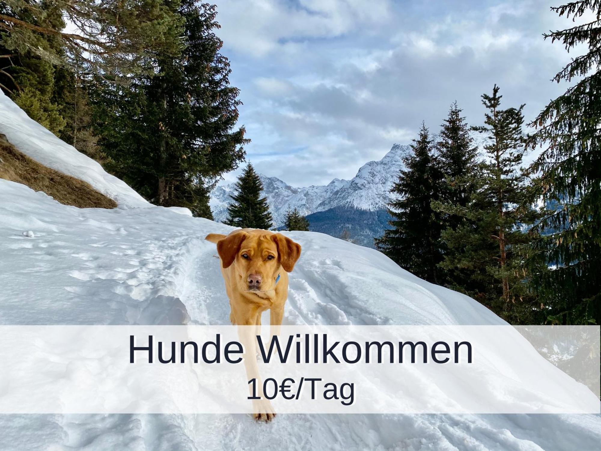 Ferienwohnung Rambold Sonnenterrasse Garmisch-Partenkirchen Eksteriør billede